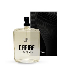 Perfume UP! 31 Caribe Masculino - 100ml - Joop! Nightflight